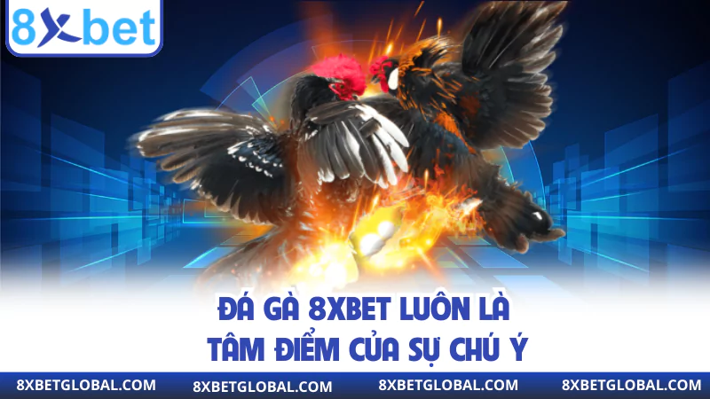 da ga 8xbet luon la tam diem cua su chu y