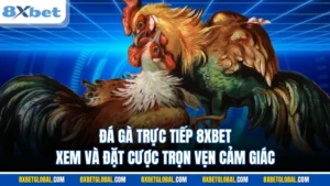 đá gà trực tiếp 8xbet