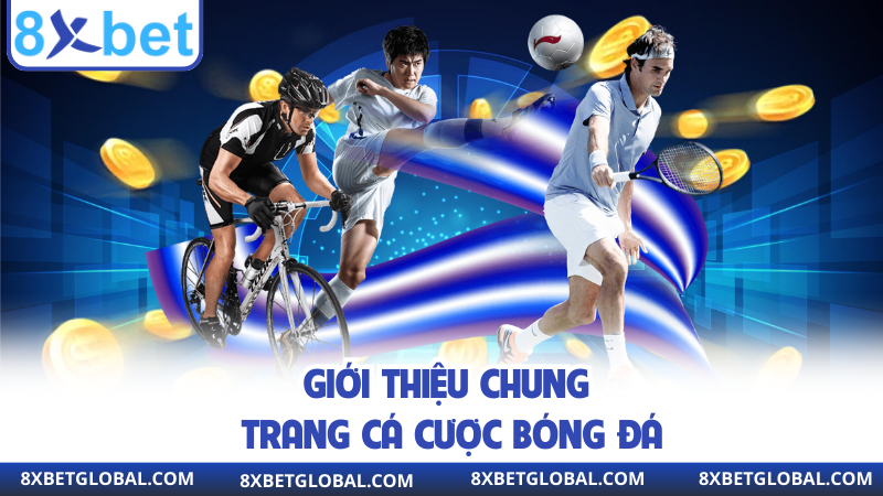 Giới thiệu chung trang cá cược bóng đá
