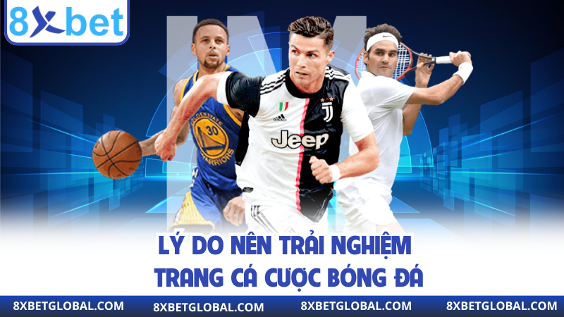 Lý do nên trải nghiệm trang cá cược bóng đá