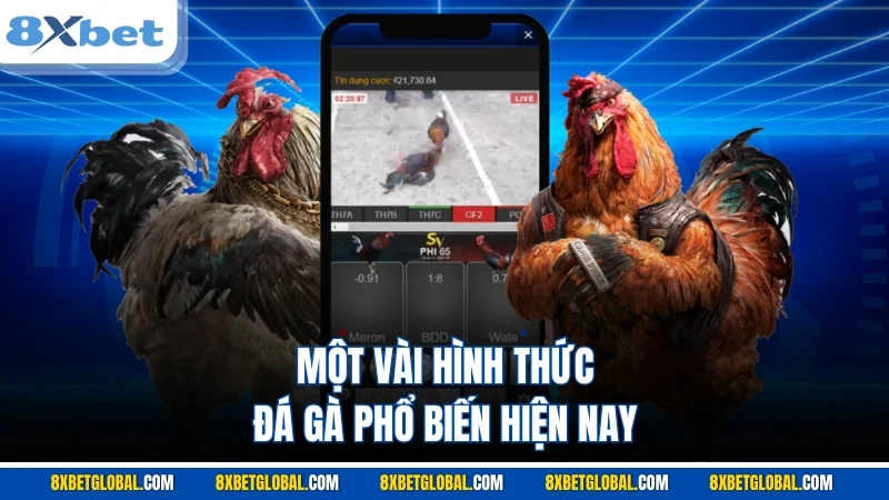 Một vài hình thức đá gà phổ biến hiện nay