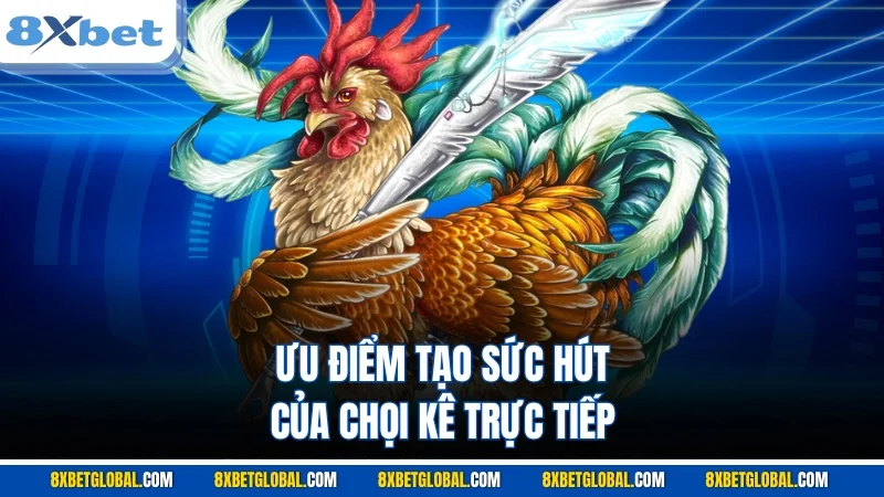 Ưu điểm tạo sức hút của chọi kê trực tiếp