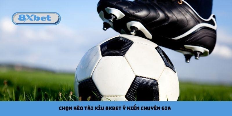 Chọn kèo tài xỉu 8xbet khi tham khảo ý kiến chuyên gia