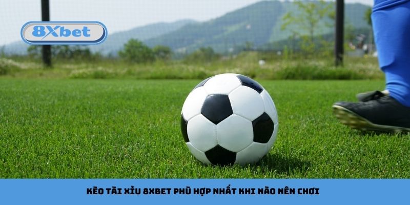 Kèo Tài Xỉu 8xbet Phù Hợp Nhất Khi Nào Nên Chơi