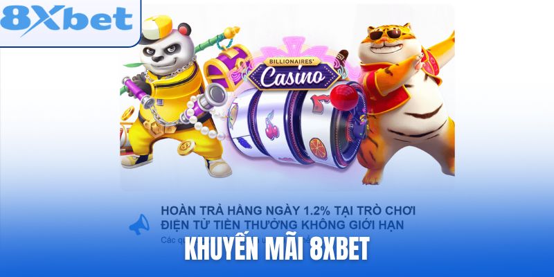 Khuyến Mãi 8xbet Khiến Người Mới Quan Tâm Điều Gì
