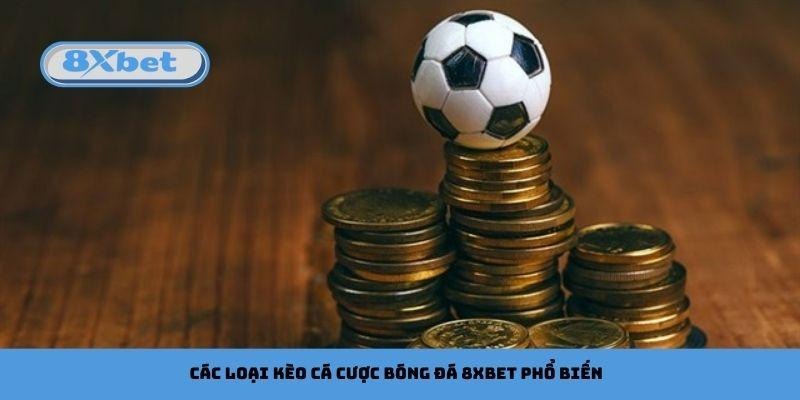 Các loại kèo cá cược bóng đá 8xbet phổ biến