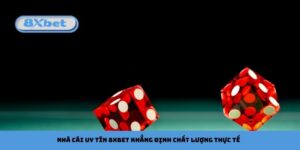 Nhà Cái Uy Tín 8xbet Khẳng Định Chất Lượng Thực Tế